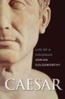 Caesar : Life of a Colossus - eBook