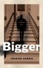 Bigger : A Literary Life - eBook