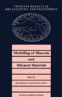 Modelling of Minerals and Silicated Materials - eBook