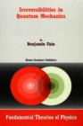 Irreversibilities in Quantum Mechanics - eBook