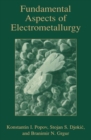 Fundamental Aspects of Electrometallurgy - eBook