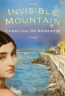 Invisible Mountain - eBook