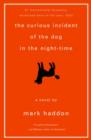 The Curious Incident of the Dog in the Night-Time - eBook