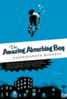 Amazing Absorbing Boy - eBook
