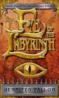Eye of the Labyrinth - eBook