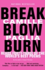 Break, Blow, Burn - eBook