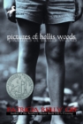 Pictures of Hollis Woods - eBook