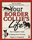 Your Border Collie's Life - eBook