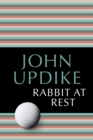 Rabbit at Rest - eBook