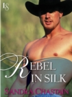 Rebel in Silk - eBook