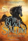 Black Stallion Returns - eBook