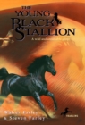 Young Black Stallion - eBook