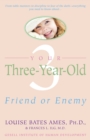 Your Three-Year-Old - eBook