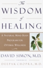 Wisdom of Healing - eBook