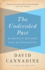 Undivided Past - eBook