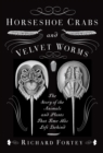 Horseshoe Crabs and Velvet Worms - eBook