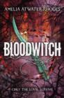 Bloodwitch (Book 1) - eBook