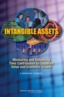 Intangible Assets : Measuring and Enhancing Their Contribution to Corporate Value and Economic Growth - eBook