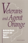 Veterans and Agent Orange : Herbicide/Dioxin Exposure and Type 2 Diabetes - eBook