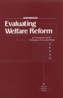 Evaluating Welfare Reform : A Framework and Review of Current Work, Interim Report - eBook
