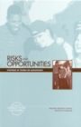 Risks and Opportunities : Synthesis of Studies on Adolescence - eBook
