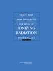 Health Risks from Exposure to Low Levels of Ionizing Radiation : BEIR VII Phase 2 - eBook