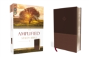 The Amplified Study Bible, Leathersoft, Brown - Book