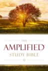 The Amplified Study Bible - eBook