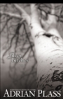 Silver Birches : A Novel - eBook