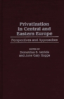 Privatization in Central and Eastern Europe : Perspectives and Approaches - eBook