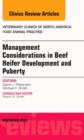 Beef Heifer Development, An Issue of Veterinary Clinics: Food Animal Practice - eBook