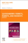 Ferrets, Rabbits and Rodents - E-Book : Ferrets, Rabbits and Rodents - E-Book - eBook