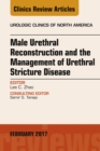 Male Urethral Reconstruction and the Management of Urethral Stricture Disease, An Issue of Urologic Clinics - eBook