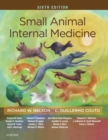 Small Animal Internal Medicine - E-Book : Small Animal Internal Medicine - E-Book - eBook