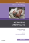 Necrotizing Enterocolitis, An Issue of Clinics in Perinatology - eBook