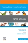 Renal Disease, An Issue of Veterinary Clinics of North America: Exotic Animal Practice : Volume 23-1 - Book