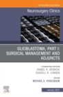 Glioblastoma, Part I: Surgical Management and Adjuncts, An Issue of Neurosurgery Clinics of North America, E-Book : Glioblastoma, Part I: Surgical Management and Adjuncts, An Issue of Neurosurgery Cli - eBook