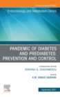 Pandemic of Diabetes and Prediabetes: Prevention and Control, An Issue of Endocrinology and Metabolism Clinics of North America, EBook : Pandemic of Diabetes and Prediabetes: Prevention and Control, A - eBook