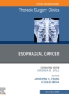 Esophageal Cancer,An Issue of Thoracic Surgery Clinics, E-Book : Esophageal Cancer,An Issue of Thoracic Surgery Clinics, E-Book - eBook
