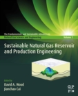 Sustainable Natural Gas Reservoir and Production Engineering - eBook