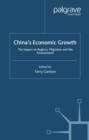 China's Economic Growth : The Impact on Regions, Migration and the Environment - eBook