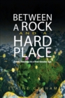 Between a Rock and a Hard Place : Public Theology in a Post-Secular Age - eBook