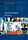 Understanding Prisons: Key Issues in Policy and Practice - eBook