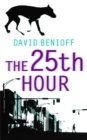 The 25th Hour - Book