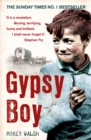 Gypsy Boy : The bestselling memoir of a Romany childhood - Book