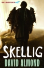 Skellig - Book