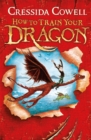 How to Train Your Dragon : Book 1 - Book