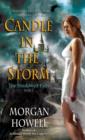 Candle in the Storm - eBook