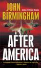 After America - eBook