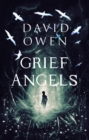 Grief Angels - eBook